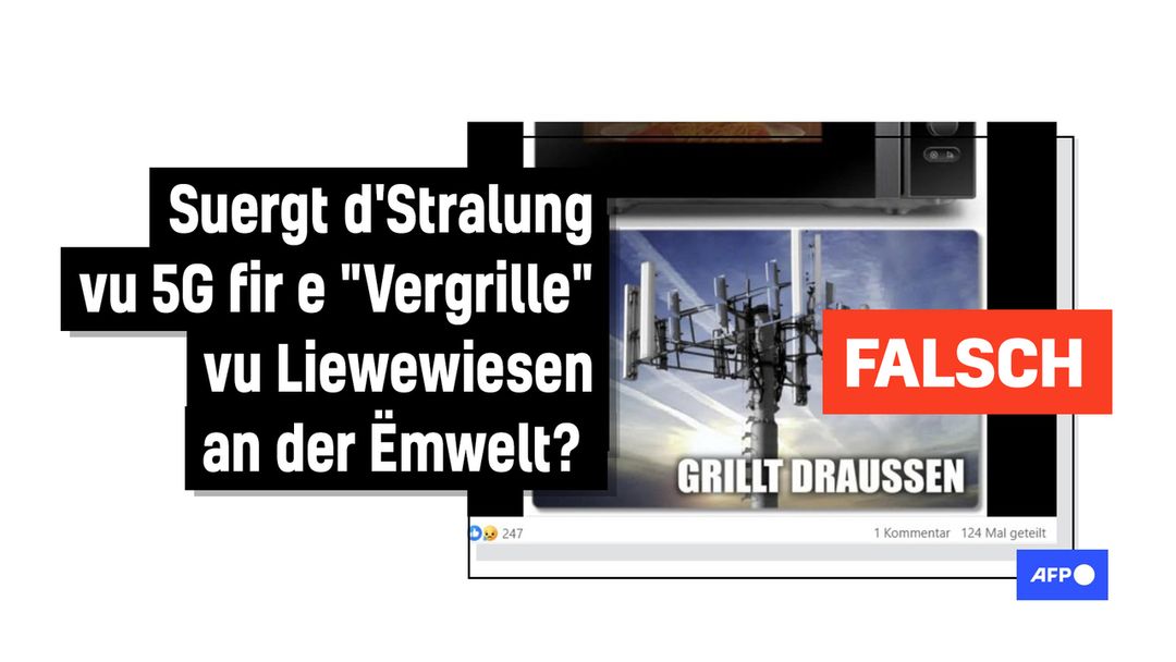 Fakencheck: 5G huet "keng erhieflech Auswierkungen" op Gesondheet an Ëmwelt - Featured image