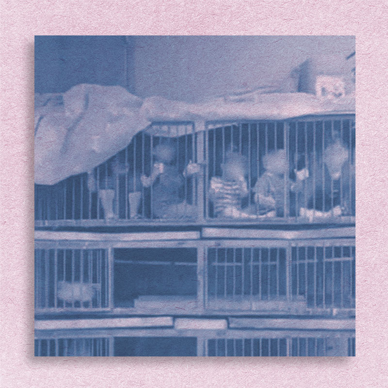 #9 The photo that traps you