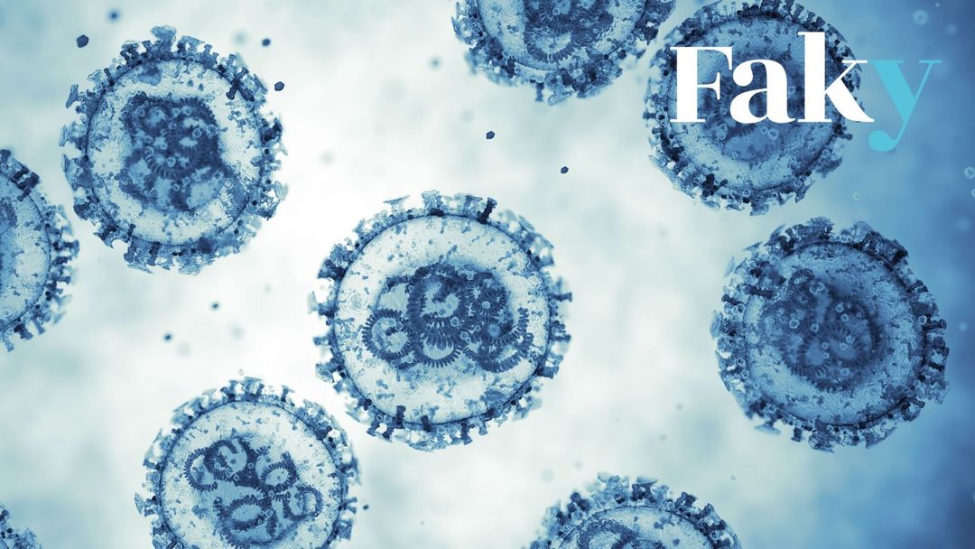 Les infections à l’hantavirus ne sont pas liées à un effet secondaire du vaccin de Pfizer contre le Covid - Featured image
