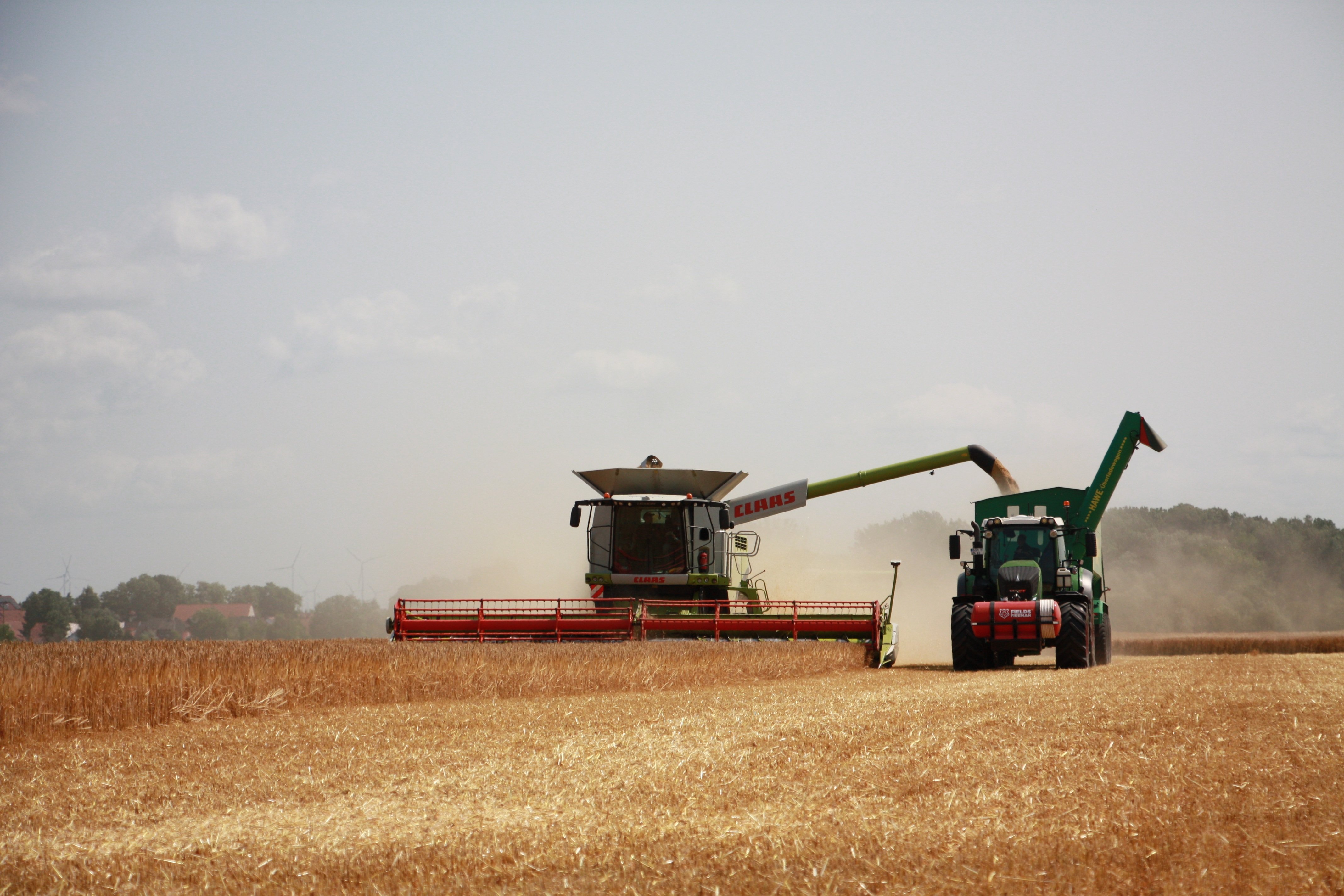 andystrauss-harvest-8192037.jpg